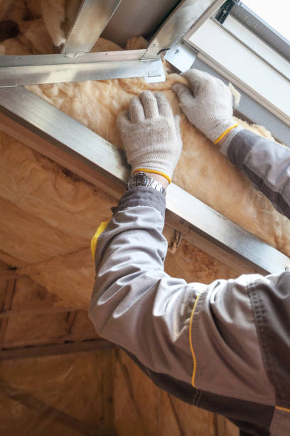 Best Types of Insulation in Elgin, TX